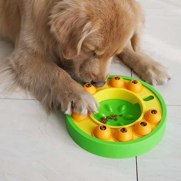 Interactive Dog Pets Puzzle Toys Slow Feeder 2