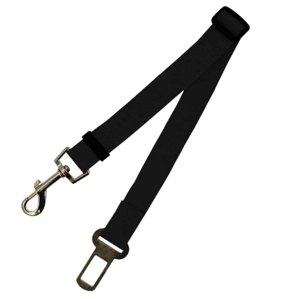 New Fixed Strap Polyester Dog Strap 6