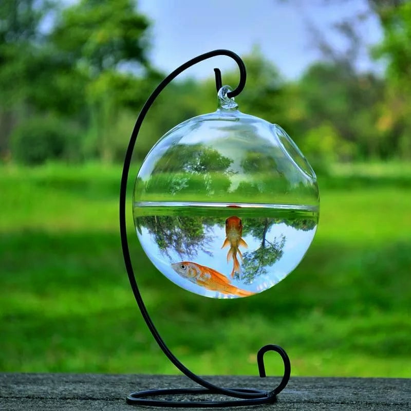Hanging Glass Vase Fish Tank 3