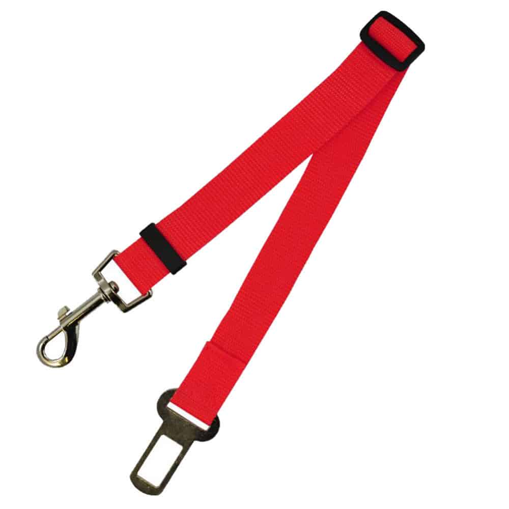 New Fixed Strap Polyester Dog Strap 5