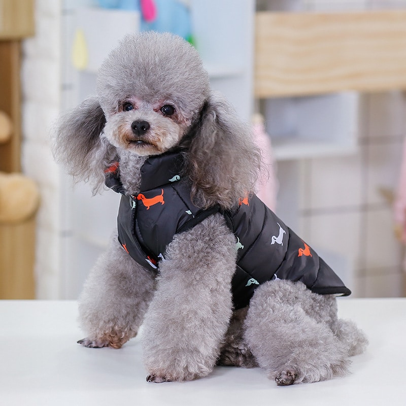 New Pet supplies dog soft and warm clothes 2