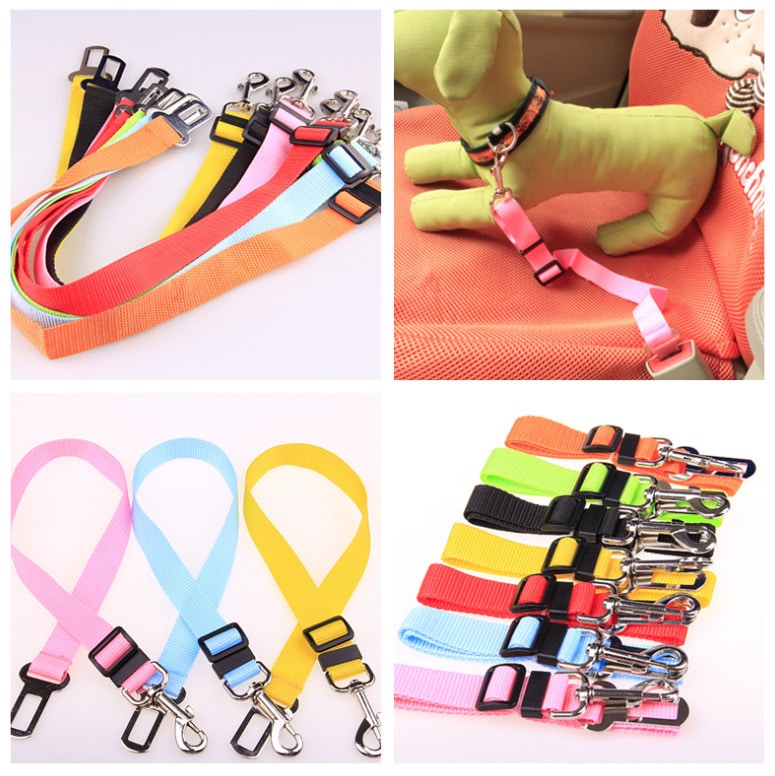 New Fixed Strap Polyester Dog Strap 3