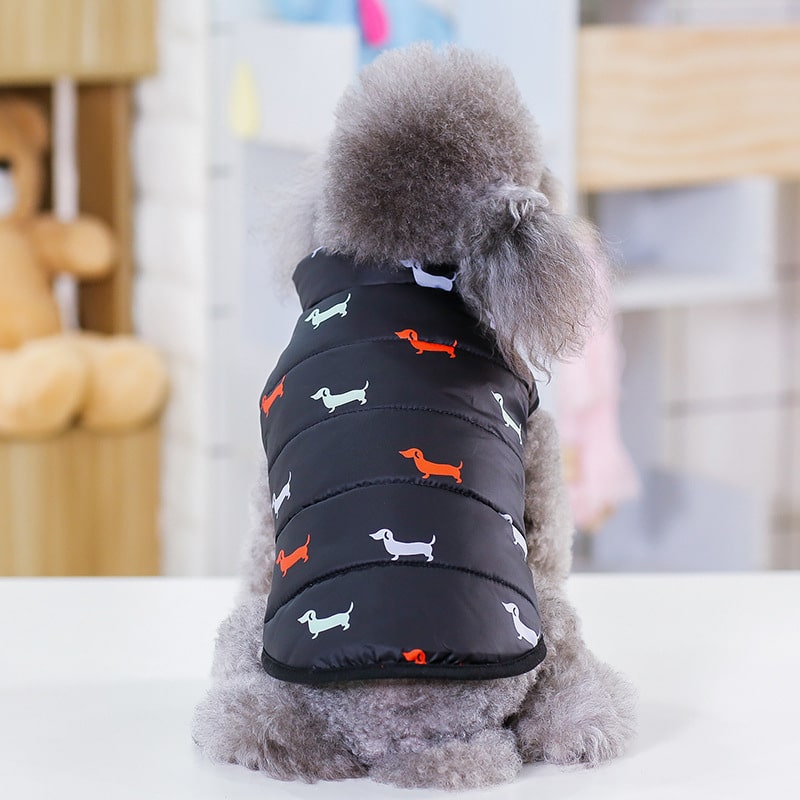 New Pet supplies dog soft and warm clothes 6