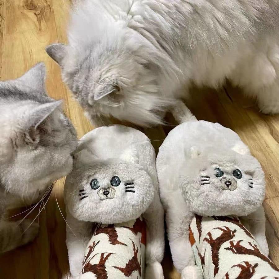 Cute Cat Hug Plush Cotton Slippers 7