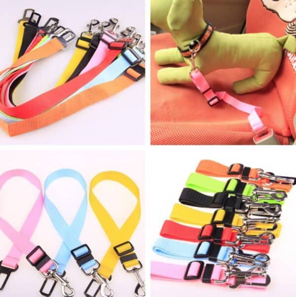 New Fixed Strap Polyester Dog Strap 1