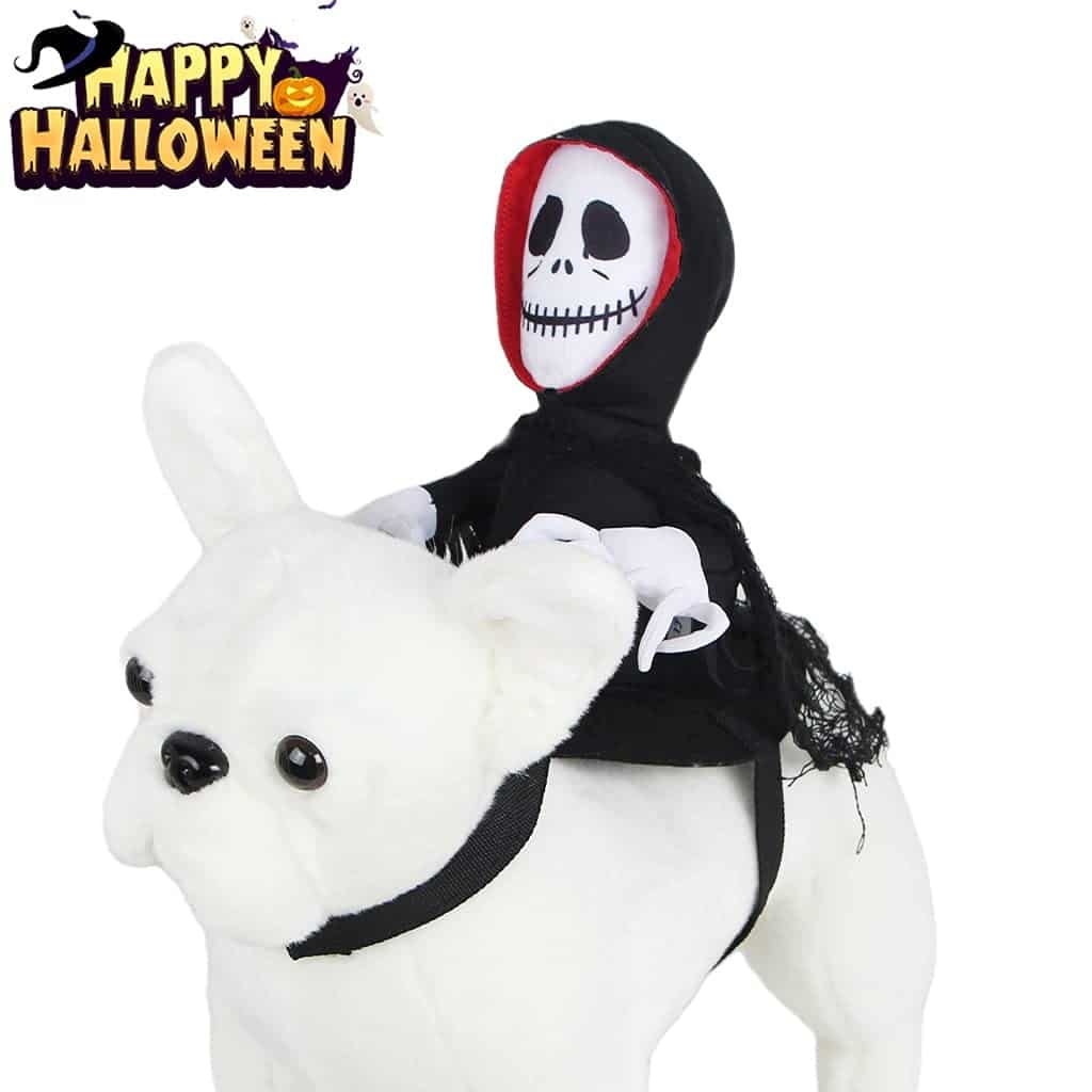 NEW Funny Pet Halloween Costume riding style 2