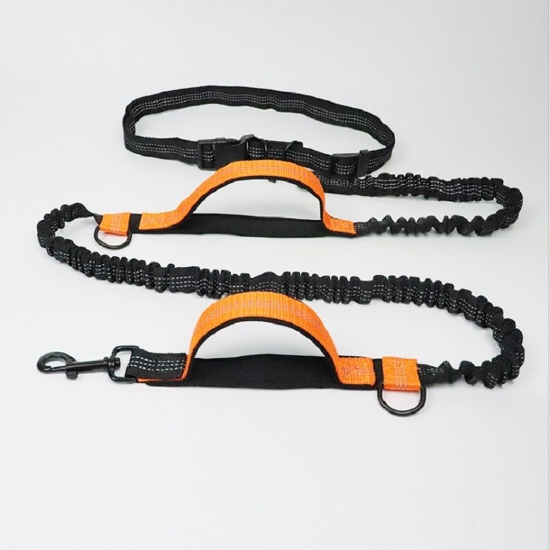 Pet Products Traction Rope Multifunctional 3