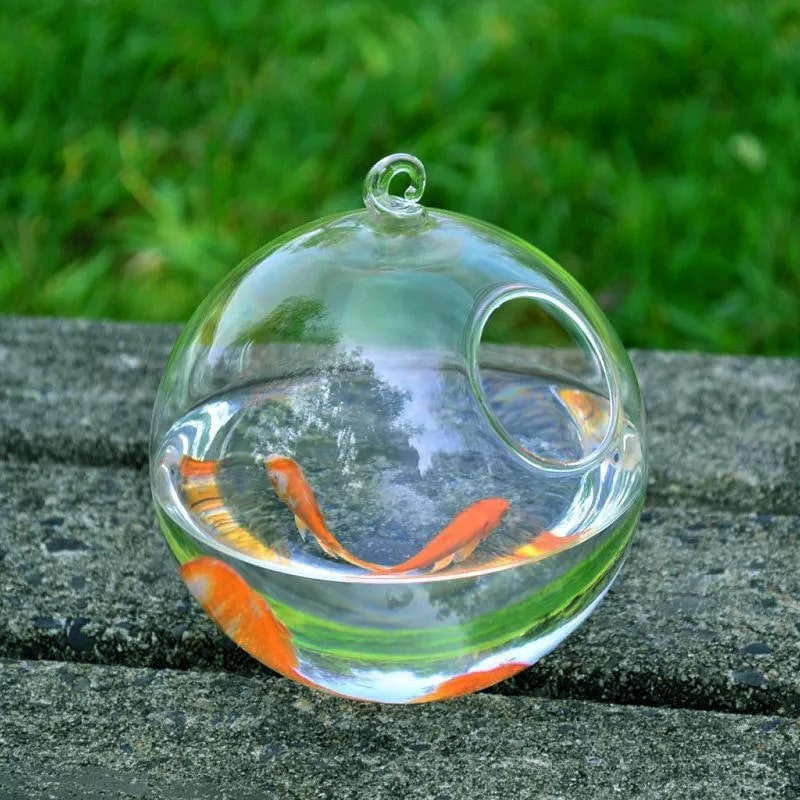 Hanging Glass Vase Fish Tank 2