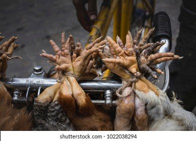 Geniet van Chicken Road in de Nederlandse Online Casino's in Netherlands